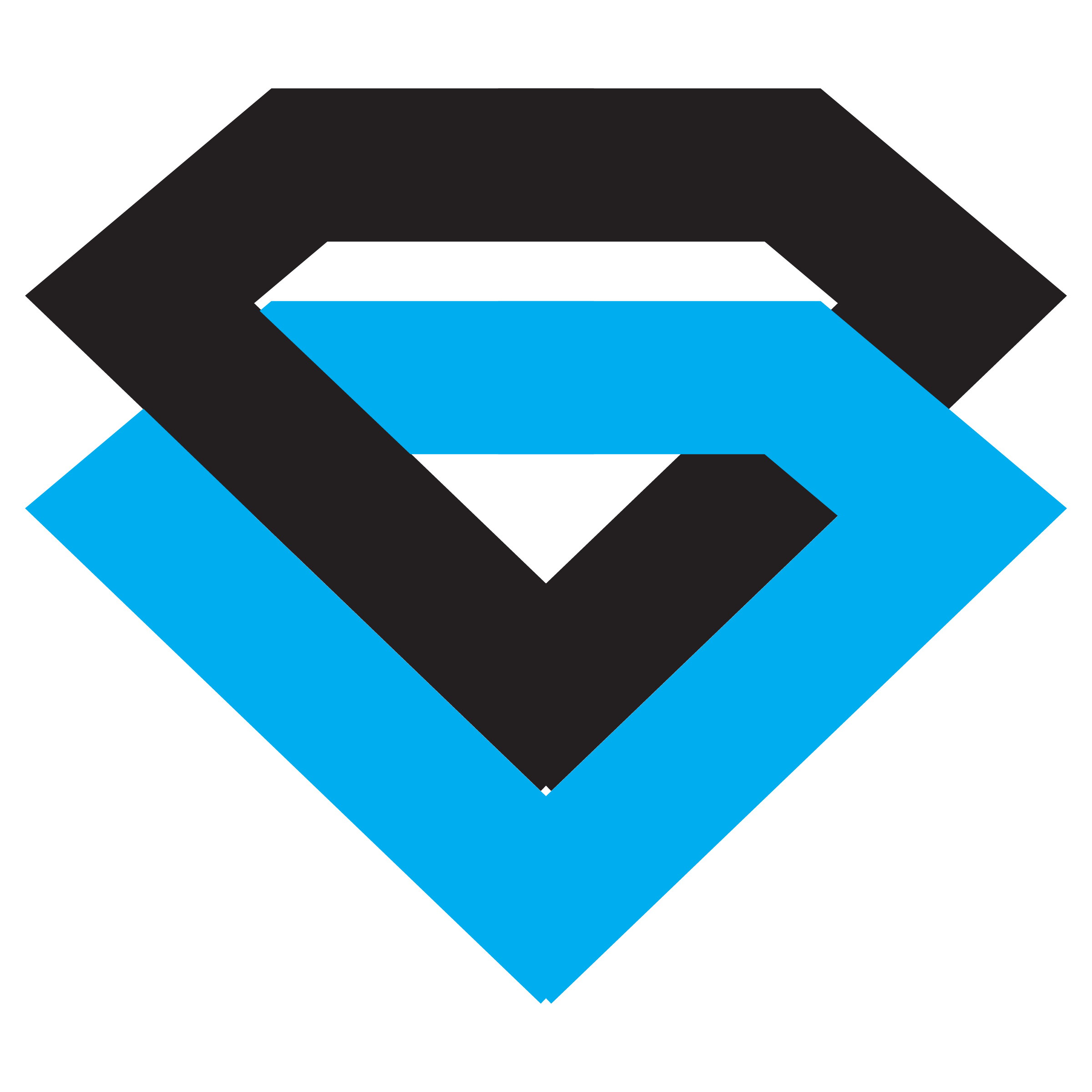 Black Diamond Corporation